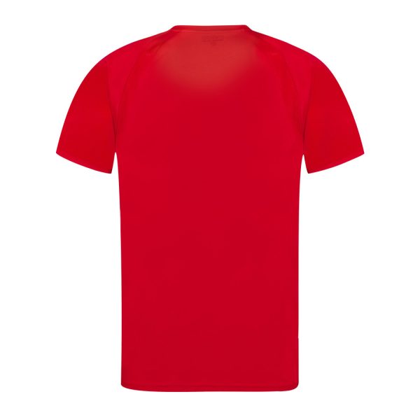 Camiseta Adulto Tecnic Sappor